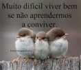 viva a vida